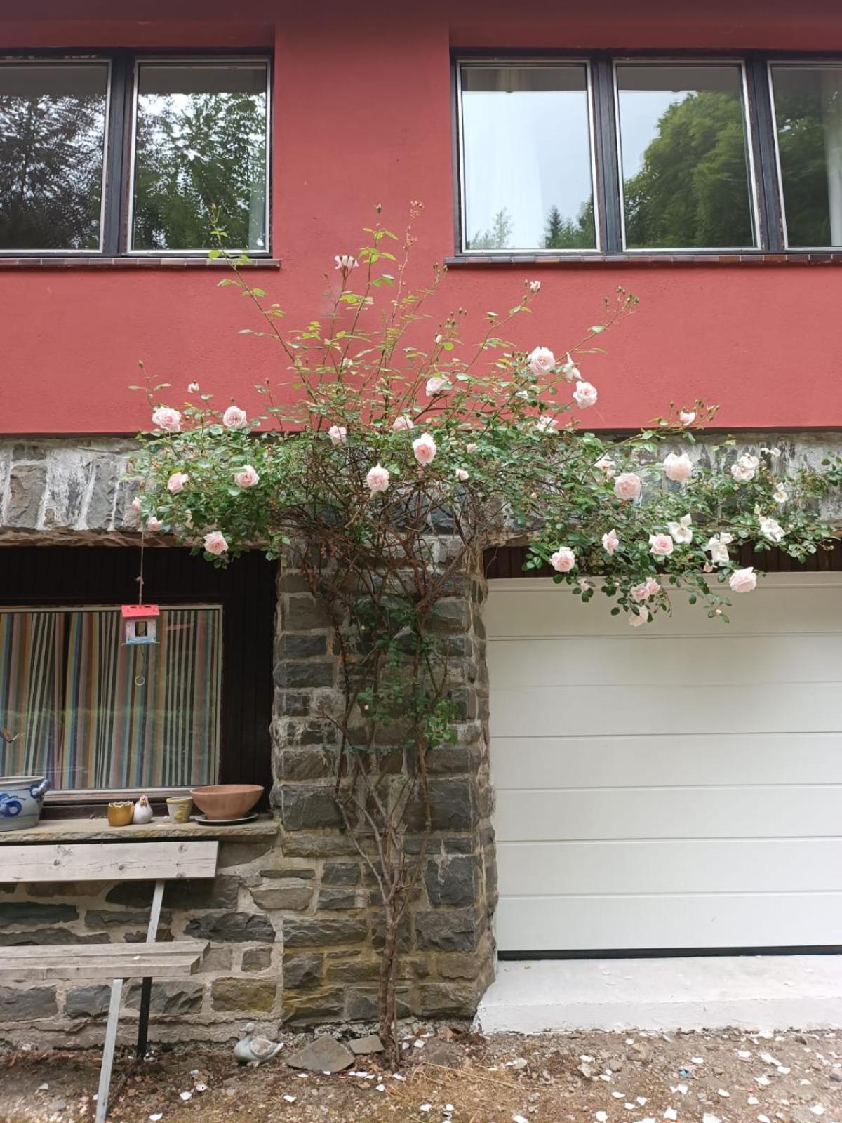 Villa Rivendell 9 Monschau Exterior foto